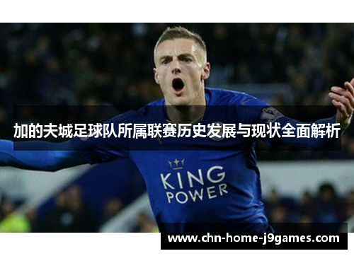 加的夫城足球队所属联赛历史发展与现状全面解析